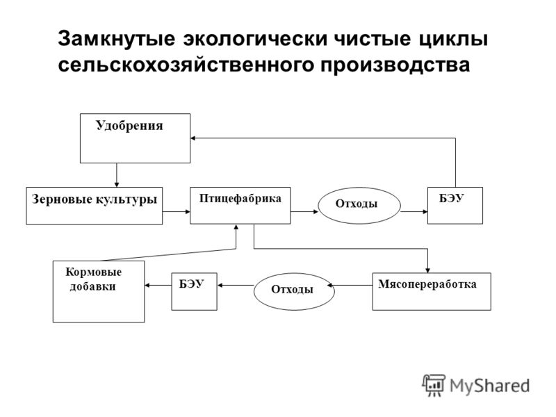 Схема замкнутого цикла. Цикл в сельскохозяйственном производстве. Производственный цикл схема. Схема технологического цикла. Безотходные технологии производства.