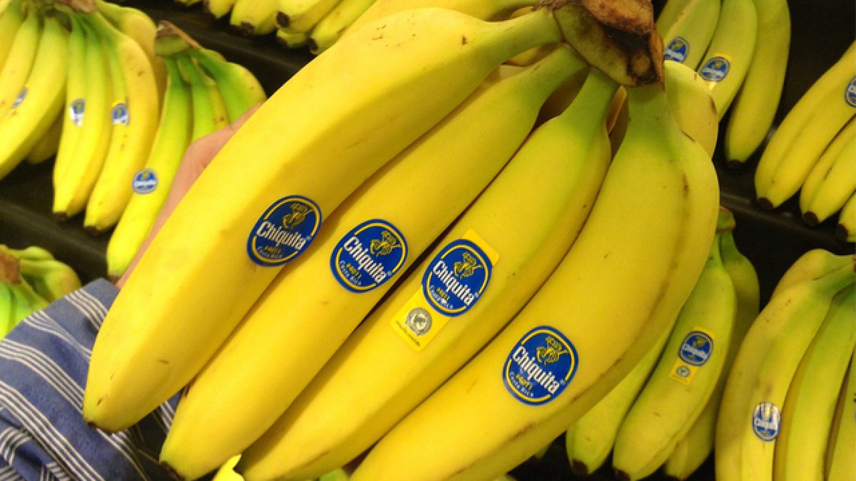 везут бананы из эквадора в россию: Путешествие банана из, if you desire eve...