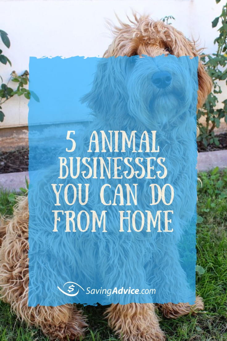 animal business ideas