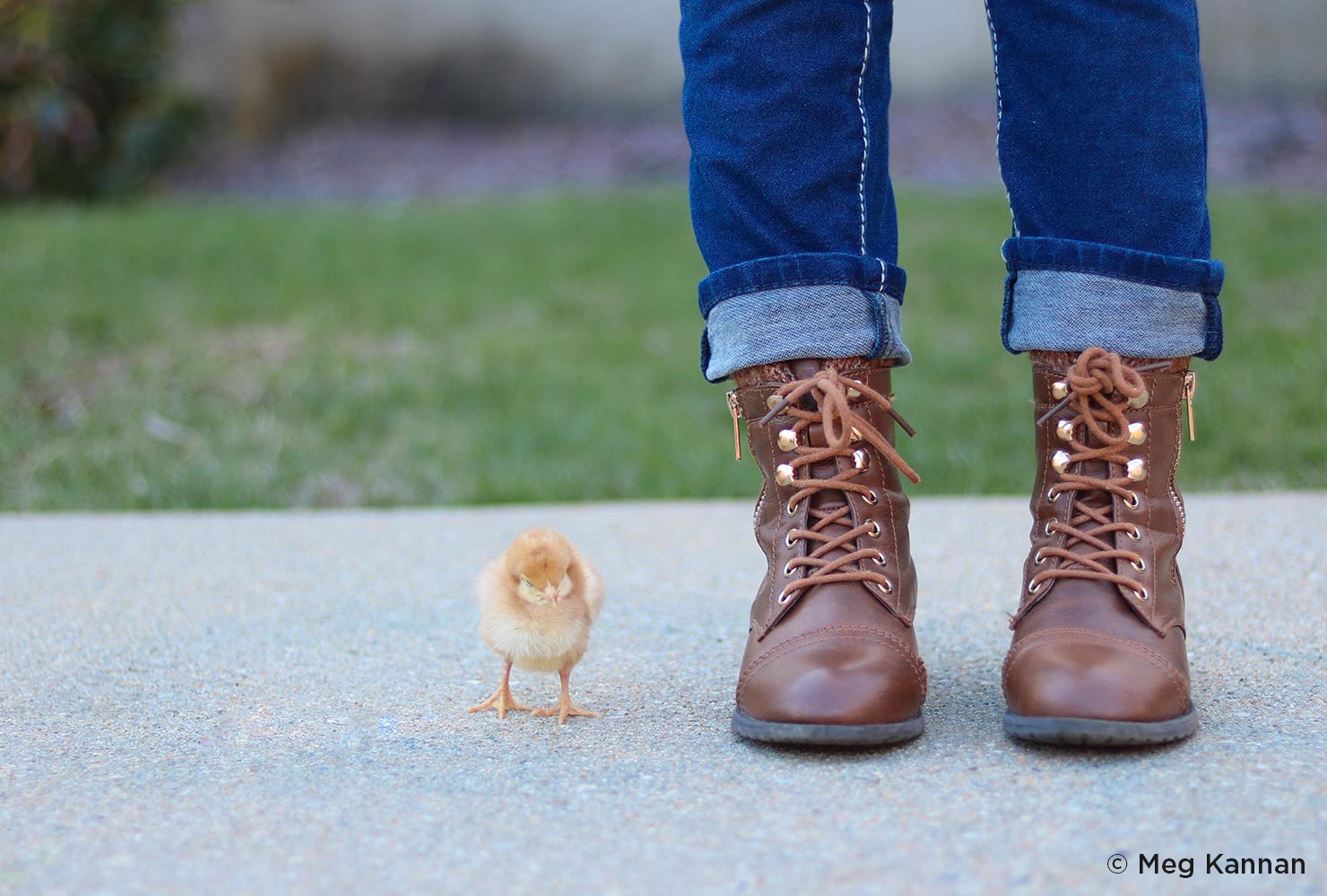 boots with a little chick